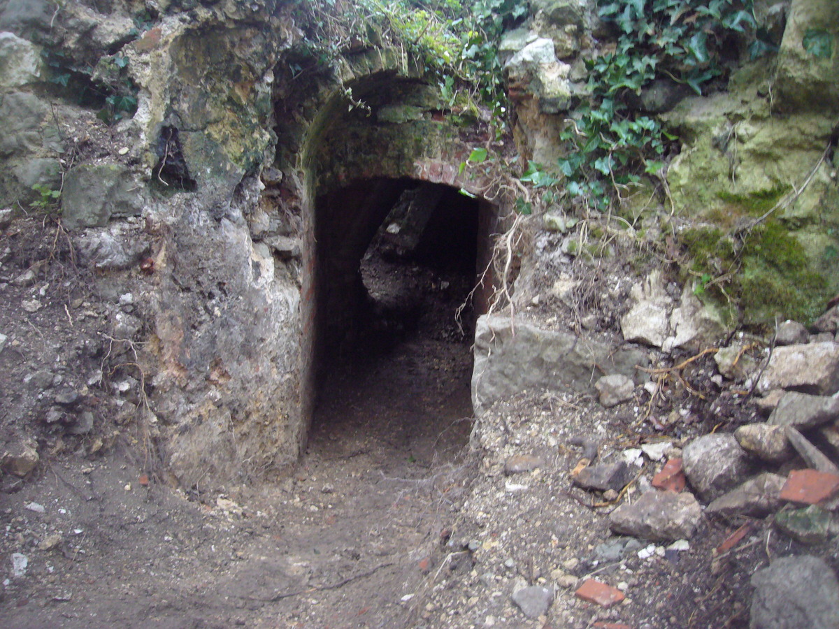 Cellar Excavation (7/3/13)